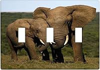 Vista 28 de Placa de interruptor de luz de elefante indio de 1 banda, placa de pared basculante individual, placa decorativa eléctrica GFCI para decoración