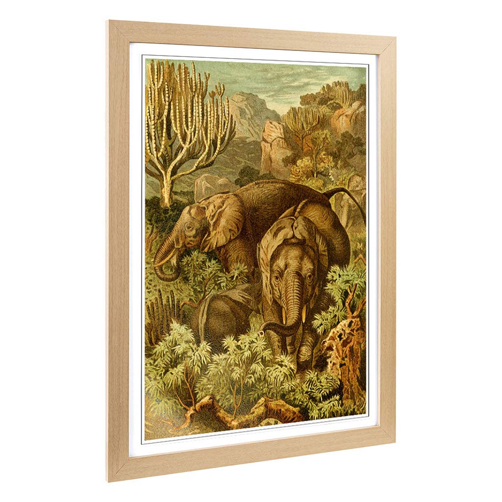 Big Box Art Framed Print of Vintage Brehms Tierlben African Elephant Design | Wall Art Picture | Home Decor for Kitchen, Living Room, Bedroom, Hallway, Oak, A2 / 24.5x18 Inch / 62x45cm