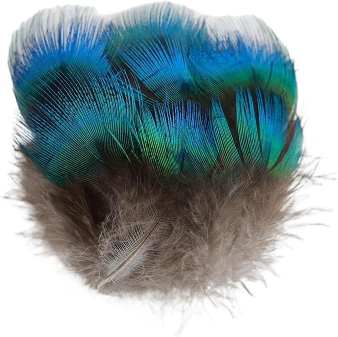 50個/ロット 天然孔雀の首の羽 4-6cm DIY 卒業プロジェクト 小さな羽根 手芸 衣類アクセサリー