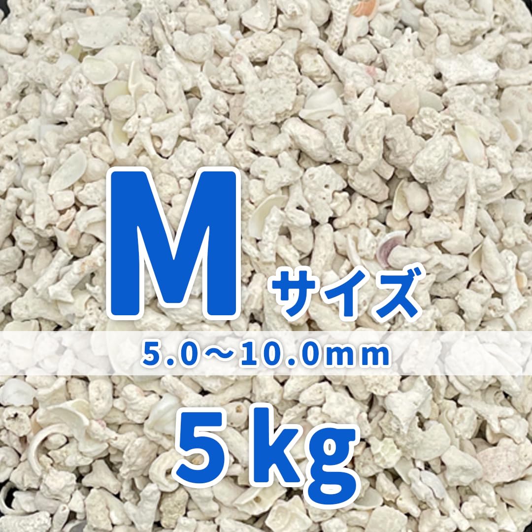 Amazon | パラオ産 サンゴ砂 パラワンサンド 【Mサイズ 5kg