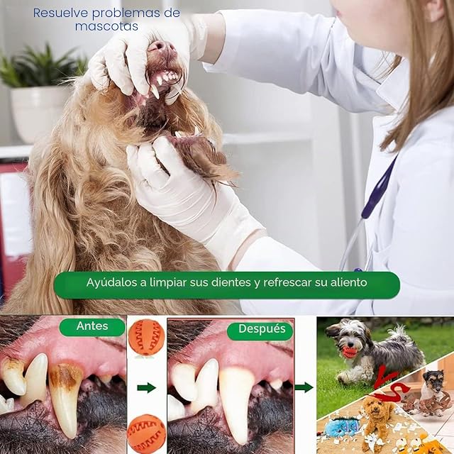 Foto 5 de 6 de WUBAYI Juguete de bola para perro juguetes interactivos no tóxicos para perros juguete de golosinas…