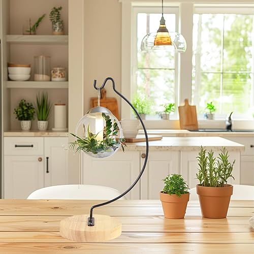 Miniatura 7 de YY YEARCHY Soporte de exhibición de adornos semicirculares, soporte estético para plantas de aire, terrarios, soporte para macetas colgantes,