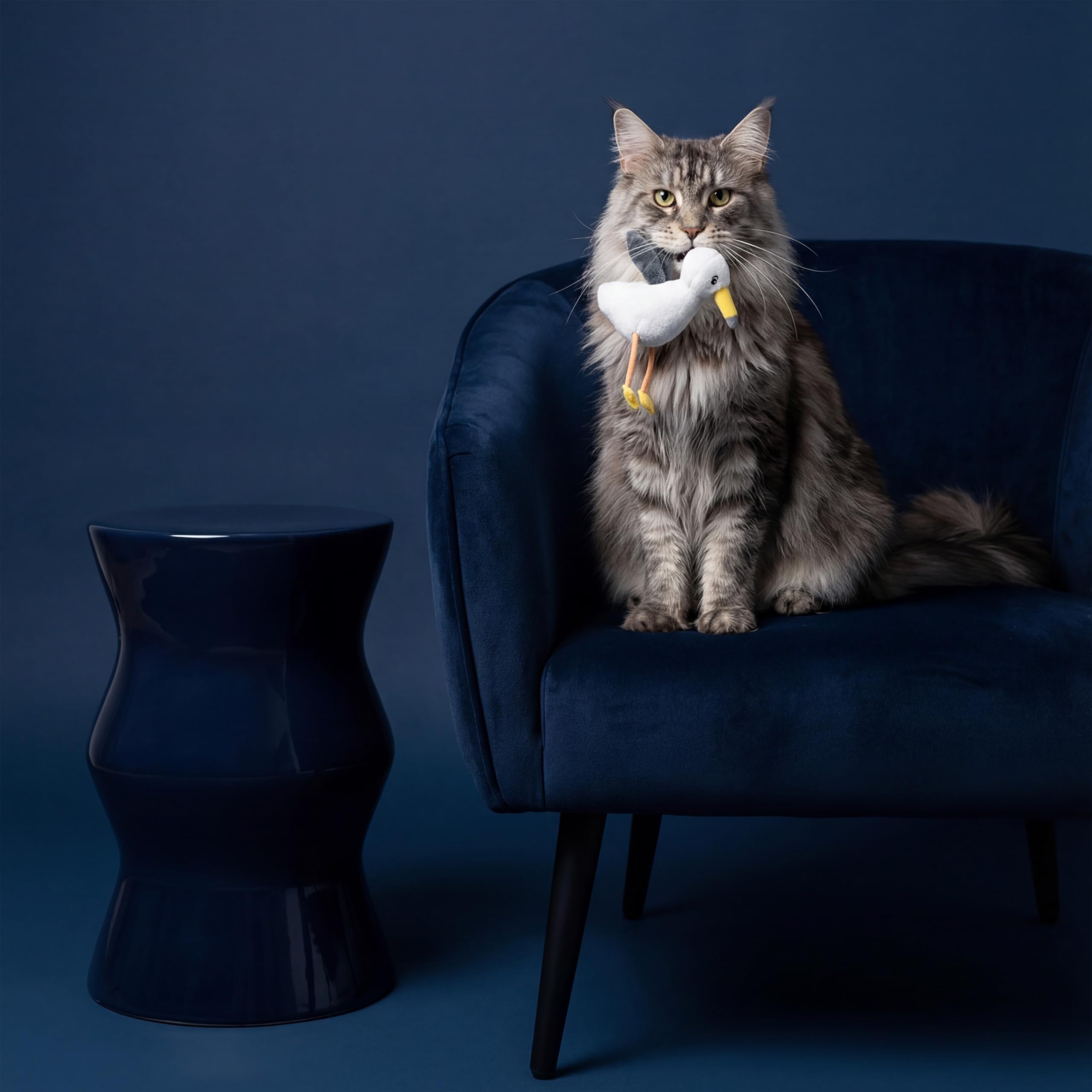 Jouet en peluche pour chat | Collection océan | Jouet en forme de mouette à pattes pendantes pour chats d'intérieur | Jouets interactifs en peluche pour tapoter et jouer | Fabriqué avec des