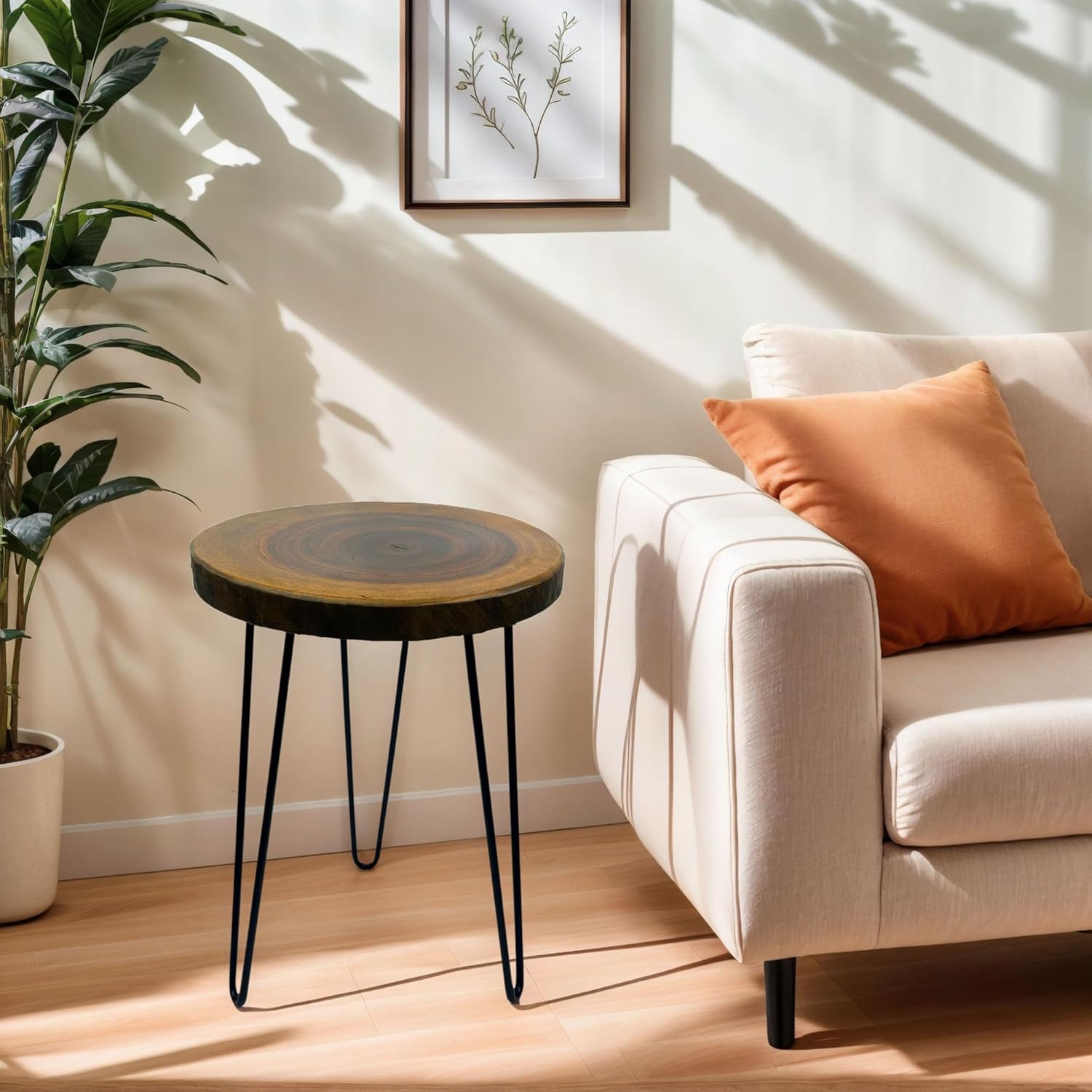 Live Edge Side Table, 13” Dia x 17”h Natural Edge Camphor Small Round Wood End Table for Living Room, Unique Desktop with Metal Hairpin Legs, Natural Wood Nightstand, Plant Stand