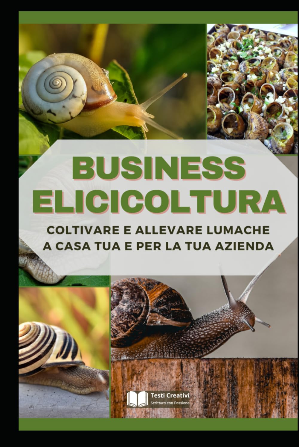 Business Elicicoltura: Coltivare e Allevare Lumache a Casa Tua e per la Tua Azienda (Allevamento Domestico & Produzioni Sostenibili)