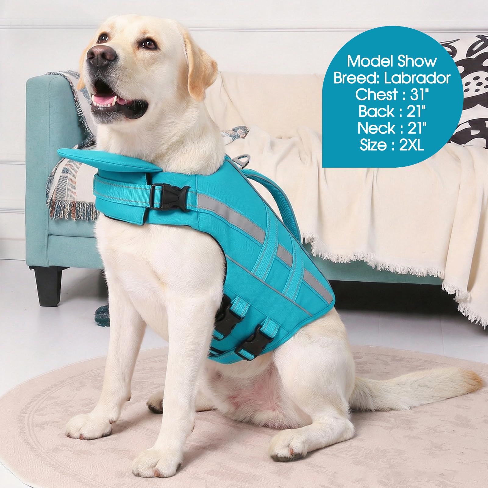 Amazon | 犬用ライフジャケット 犬用ライフベスト 水泳 ボート用