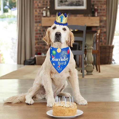 Miniatura 9 de ADOGGYGO Bandana de cumpleaños para perro, conjunto de sombrero para perro, cachorro, suministros para fiesta de cumpleaños, bandana para perro,