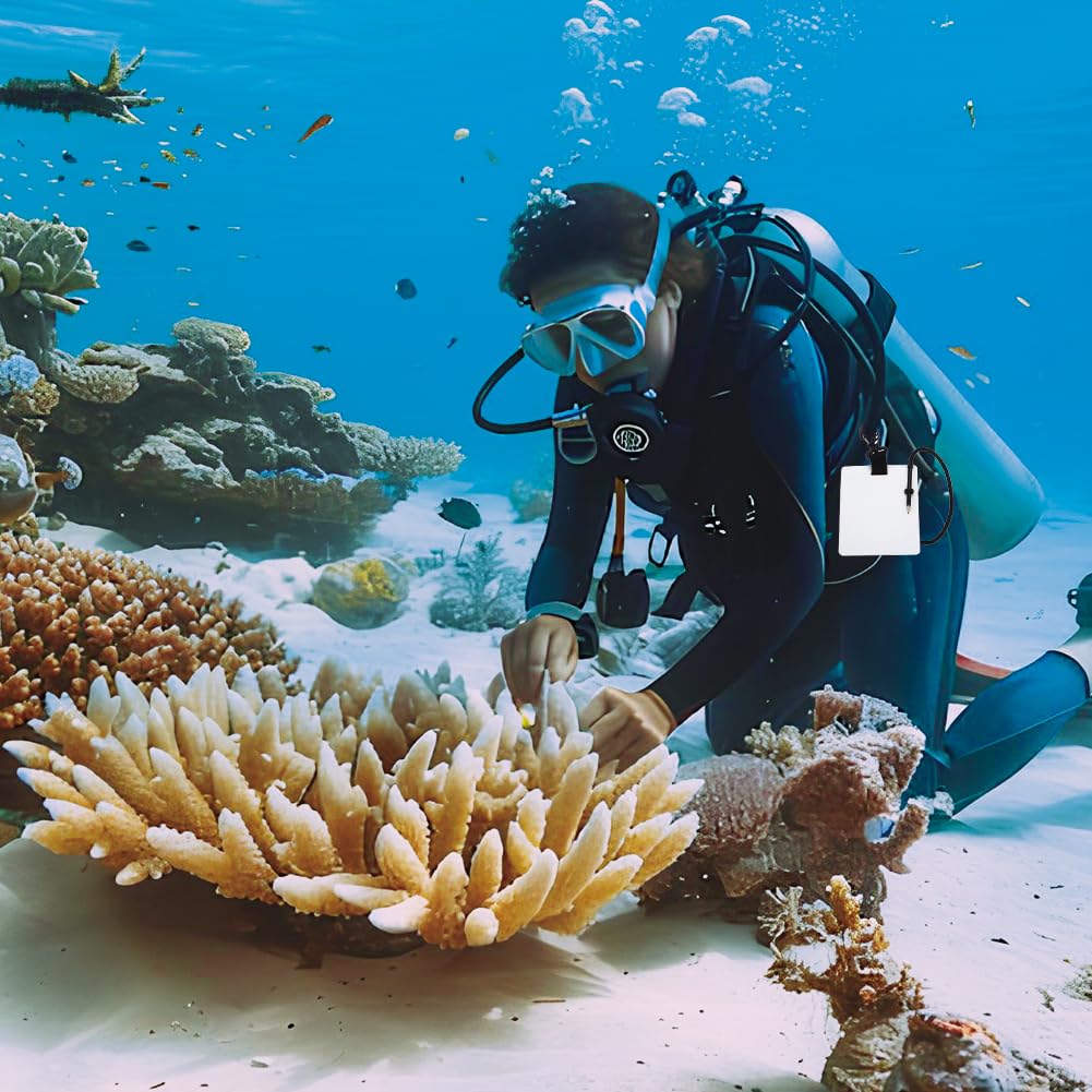 Tiiyee Lavagnetta Subacquea, Ardesia Per Scrittura Subacquea Taccuino Con Gomma Lavagna Clip Girevole Matita Appunti Regolabile Immersione Quaderno Immersioni Pannelli Adatto Sport Acquatici
