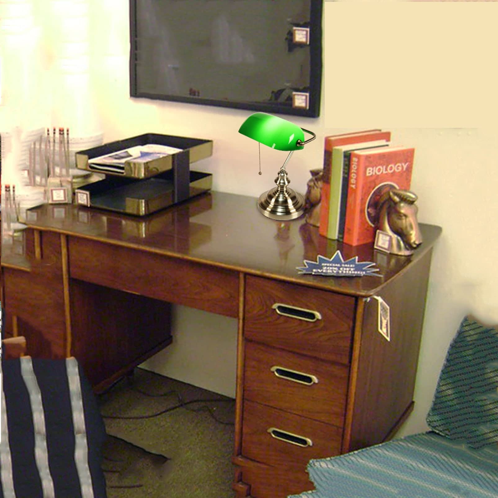View 9