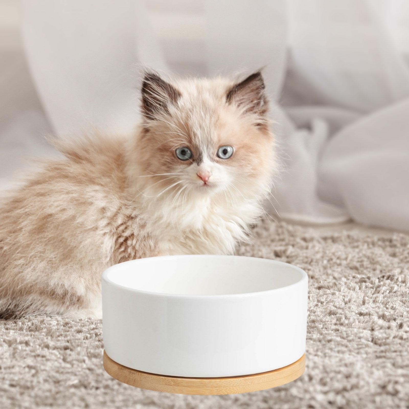 Gamelle Chauffante pour Animaux Tapis Chauffant Électrique Base En Bois Céramique Glacée Contrôle Thermostatique Silencieux Convient Chats Chien, 8x17cm blanc