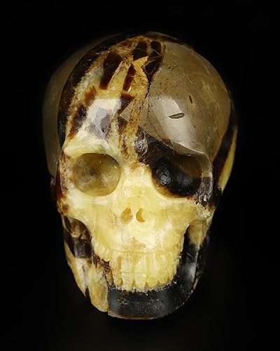 Vista 49 de Skullis 2.0 "Cráneo alienígena de cristal de obsidiana negra, escultura de arte fino de piedras preciosas talladas a mano, estatua de piedra Cráneo