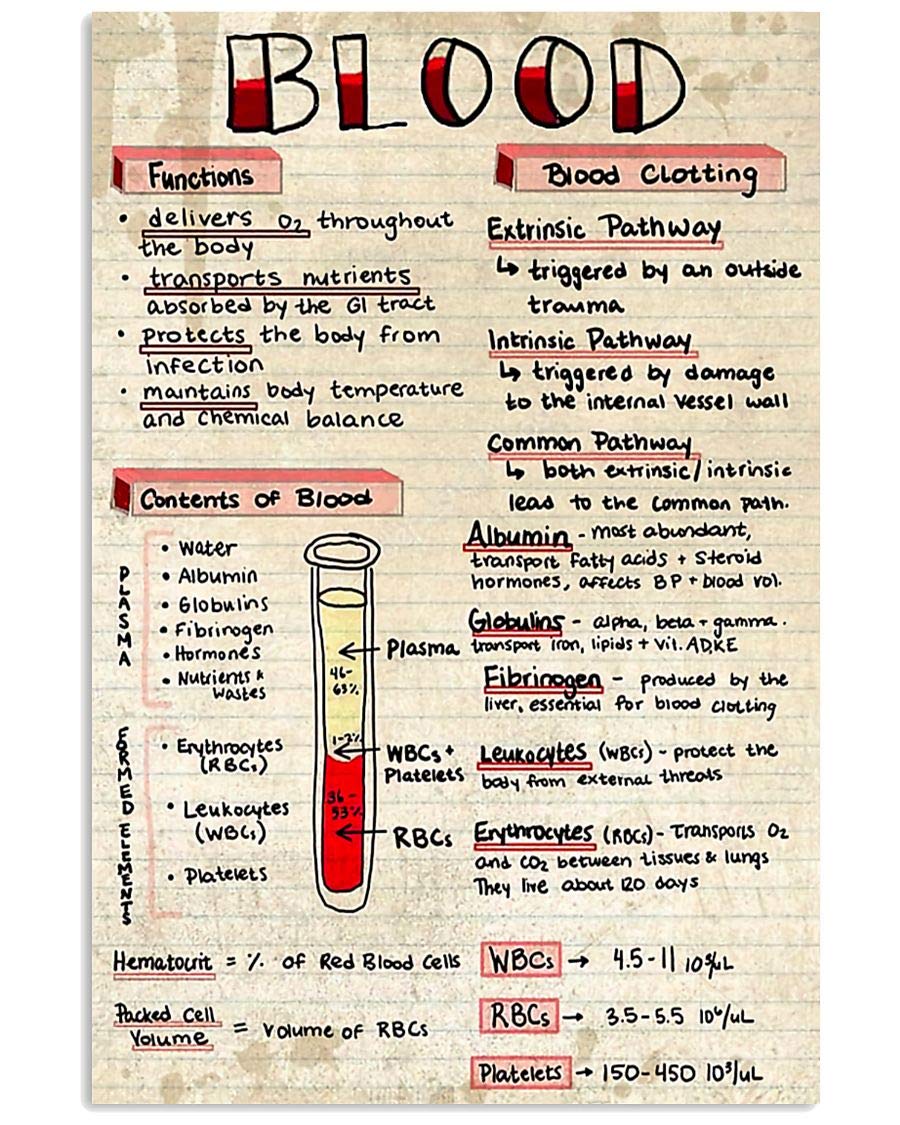 peiyeety Blood Knowledge Metal Sign VintageScience Tin PosterHome Hospital Decor Office Wall Decoration Plaque 8" x 12"