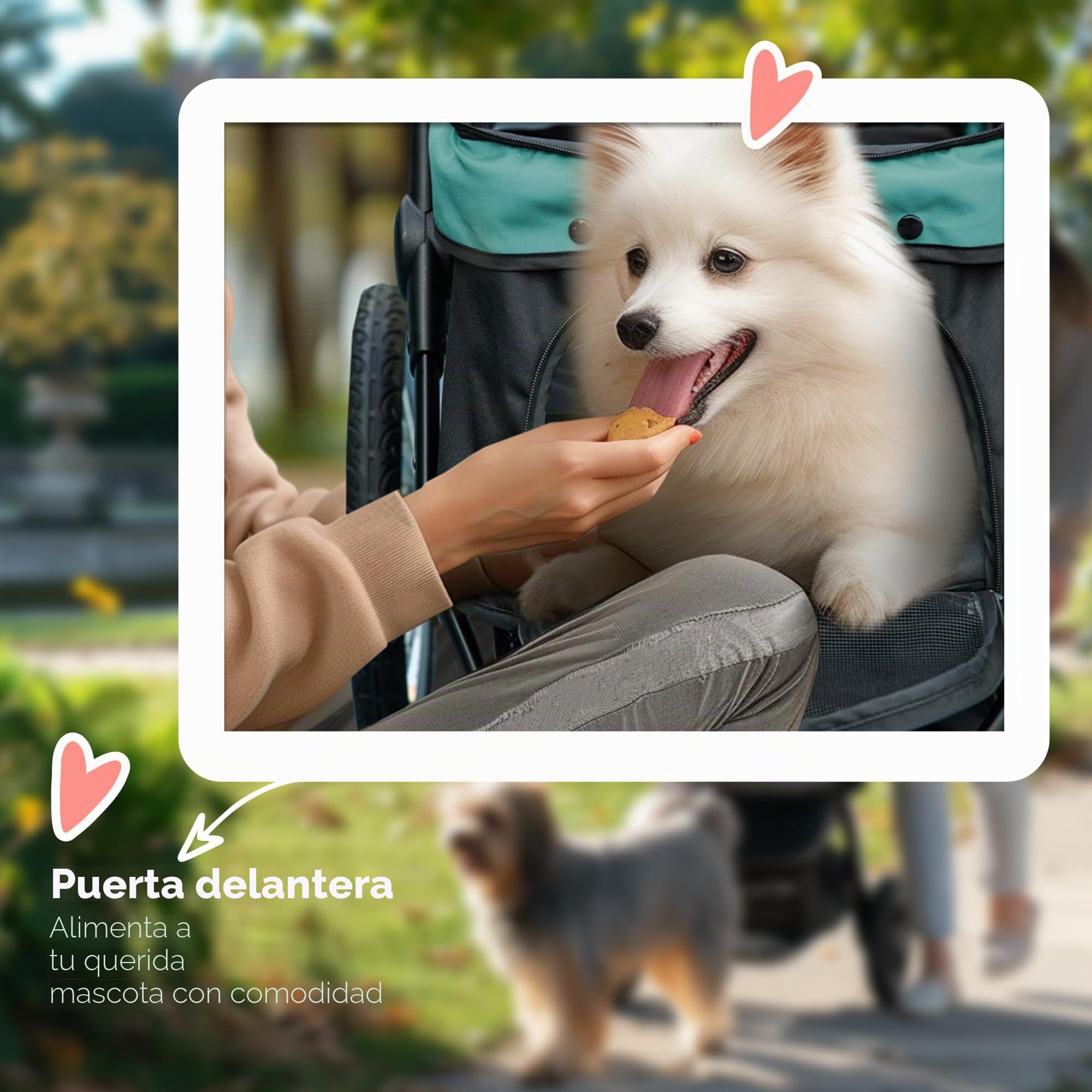 PawHut silla de paseo plegable para perros y gatos de hasta 20 kg silla de paseo para gatos con ruedas de goma todo terreno cojines ventanas de malla puertas silla de paseo para gatos con cesta de
