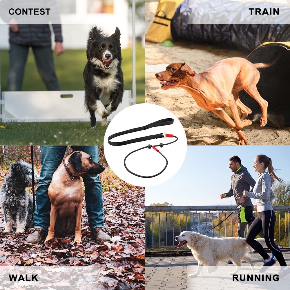 Laisse Dressage Rembourrée Corde,1,4 m Laisse de Contrôle Professionnelle avec 2 Poignées pour Chien Chiots de Petite Taille Moyenne
