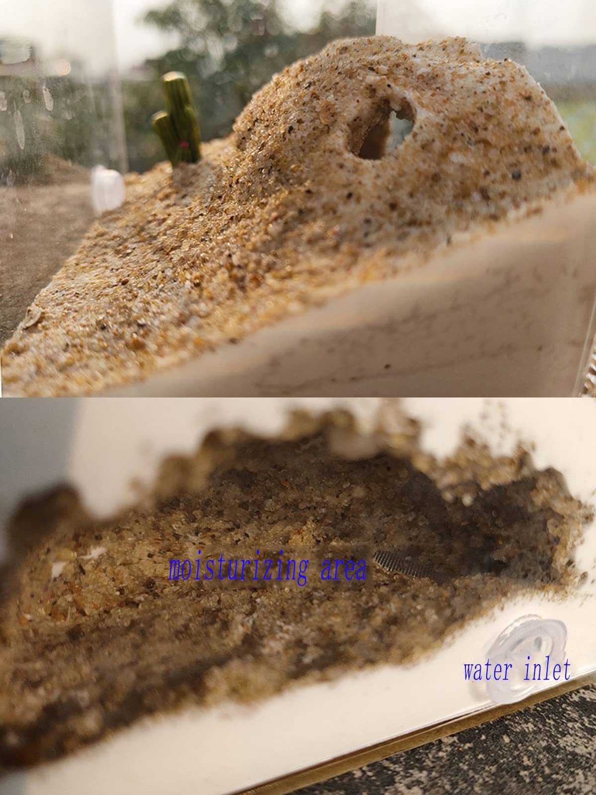 Nido Hormiga Gypsum AntHouse Ecológico para Granja Hormigas, Castillo Plástico Transparente Insecto Natural Ecología Caja Nido para Niños Estudio Educativo Juguete Educativo Observa En Vivo