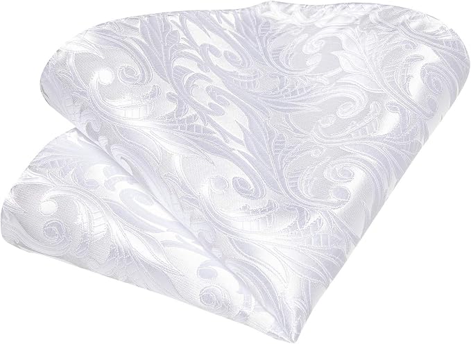 Corbata para hombre de seda con diseño liso y copa de patrón paisley miniatura 6