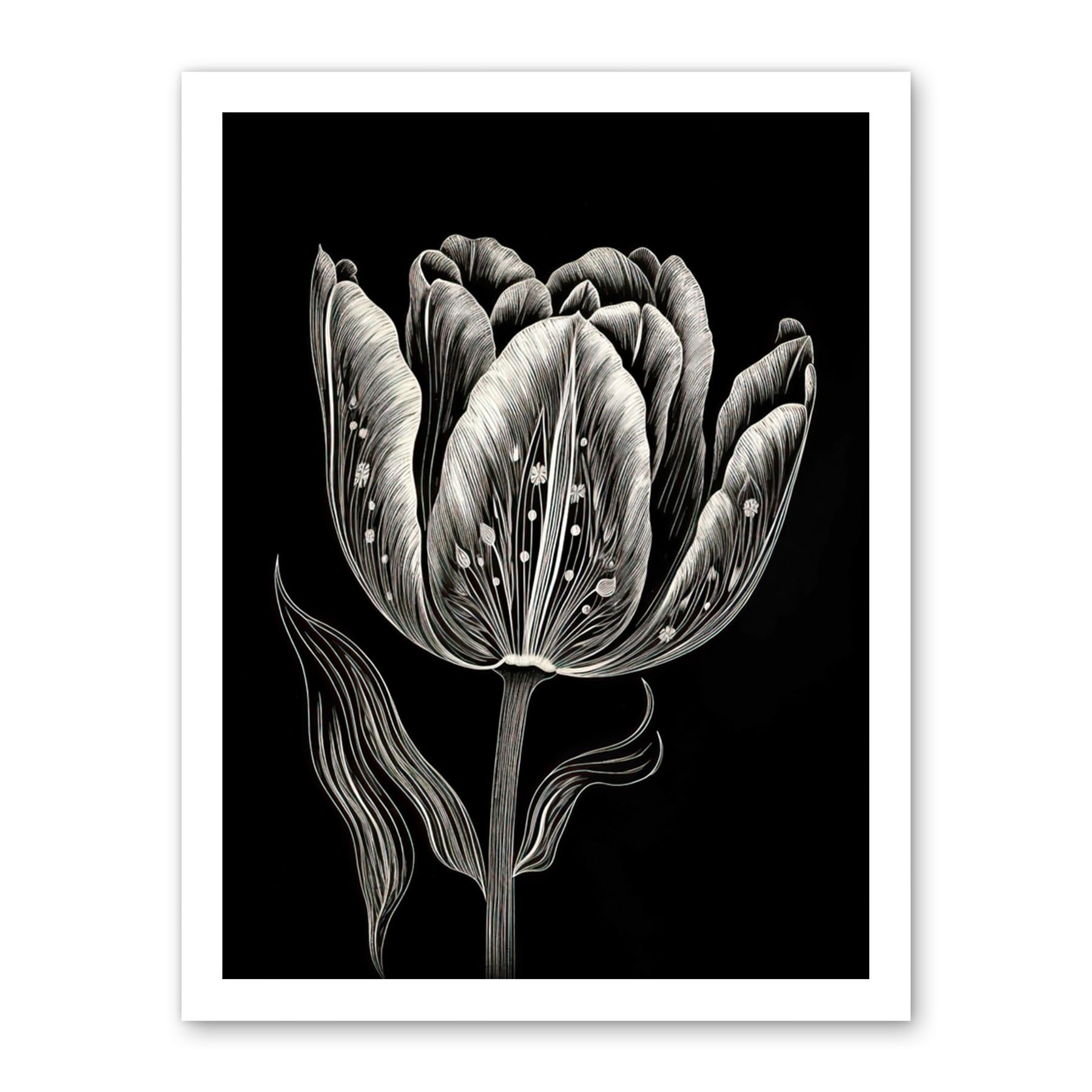 Artery8 Tulip Flower White on Black Blind Contour Folk Art Artwork Framed Wall Art Print 18X24 Inch