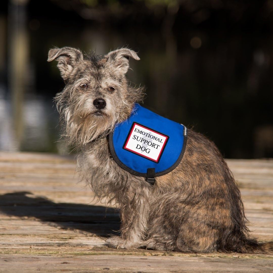 Emotional Support Dog Vest - Complete with two patches (RED, 20-30 Pounds)