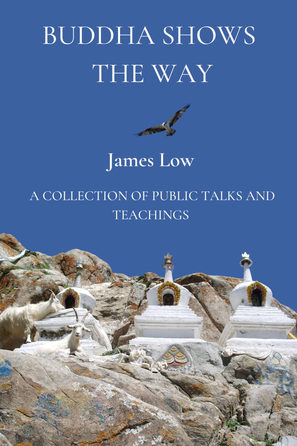 Buddha shows the way: a collection of public talks and teachings (Simply Being Buddhism)