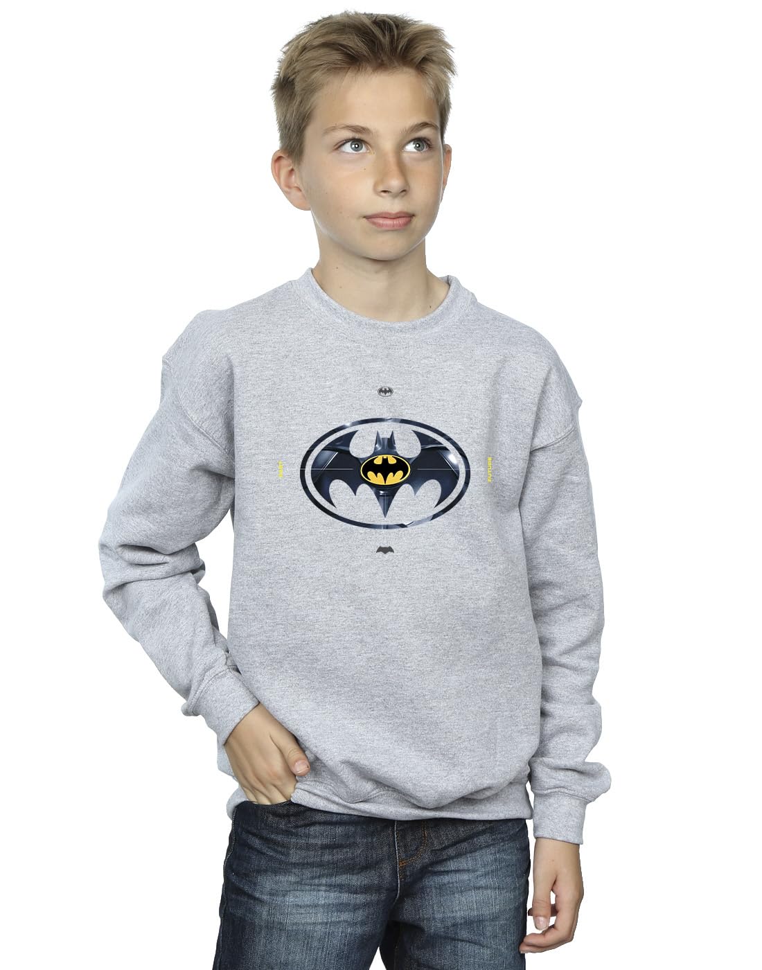 DC Comics Boys The Flash Batman Metal Logo Sweatshirt Sport Grey 5-6 Years