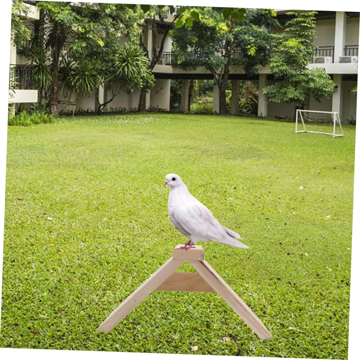 5 Perchas para Jaulas de Aves de Madera, Soporte Móvil de Madera para Loros, Juguetes Complementos para Aves