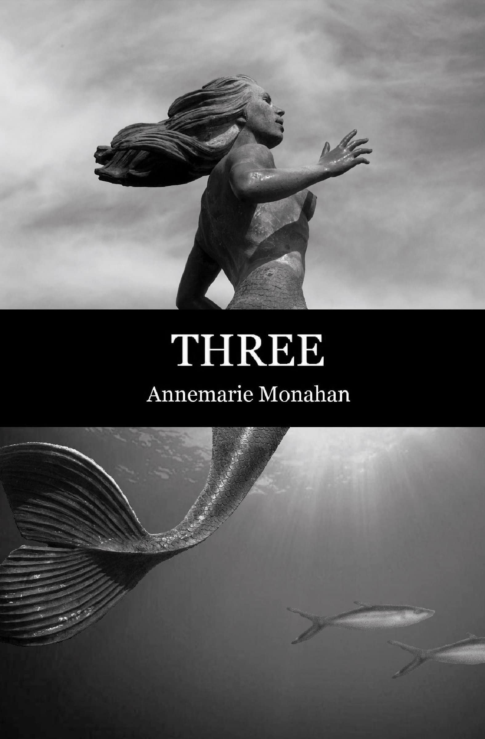 Three (Flashpoint Press)
