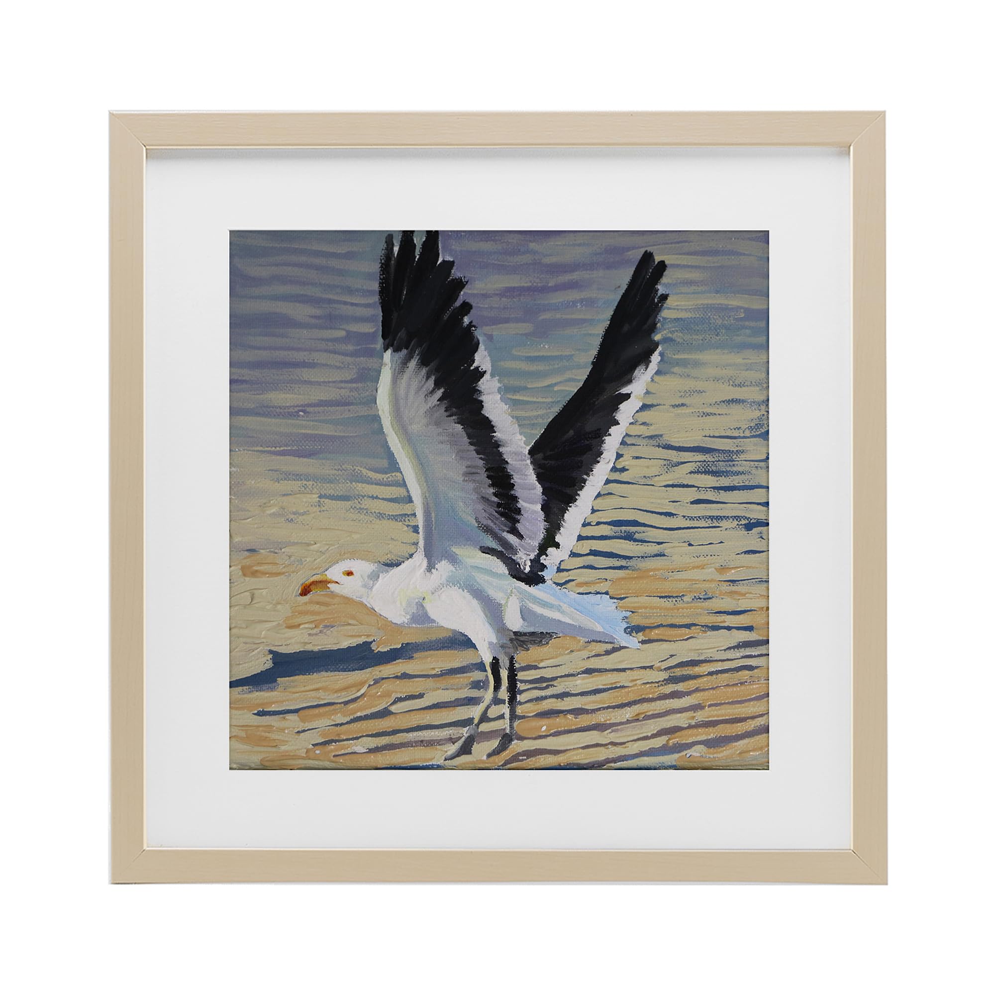 'Seagull Taking Flight'| Framed Print Under Glass