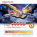 [Gigastone] 256GB Micro SD Card, 4K Camera Pro for Security Camera, Wyze, DJI, Drone, Nintendo-Switch, R/W up to 100/60MB/s MicroSDXC Memory Card UHS-I U3 A2 V30 gallery image