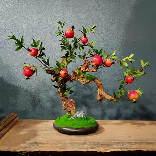 Miniatura 8 de 60 Semillas de Granada Semillas de Frutos Rojos Punica Granatum Bonsai Megranate