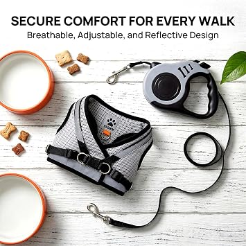 Cat Harness and Lead Set, Escape Proof Kitten Harness with Cat Leash, 3 M Automatic Retractable Lead for Garden, Reflective Adjustable Soft Vest for Pet Walking (Grey, S)