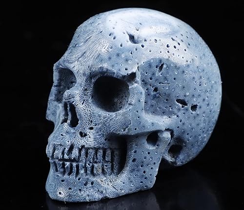 2.0 "esponja azul coral cráneo de cristal, escultura de arte de piedras preciosas talladas a mano, estatua de piedra curativa de Reiki.1388
