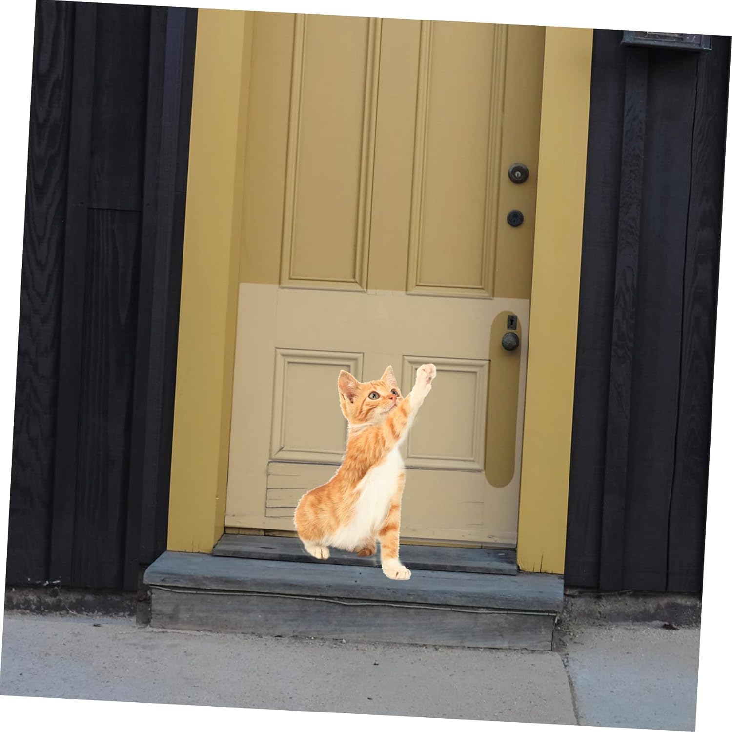 2pcs Indoor Door Scratch Shield Pet Scratch Sticker for Door Protection Adhesive Claw Guard for Dogs and Cats Easy to Install Self-Adhesive Cover