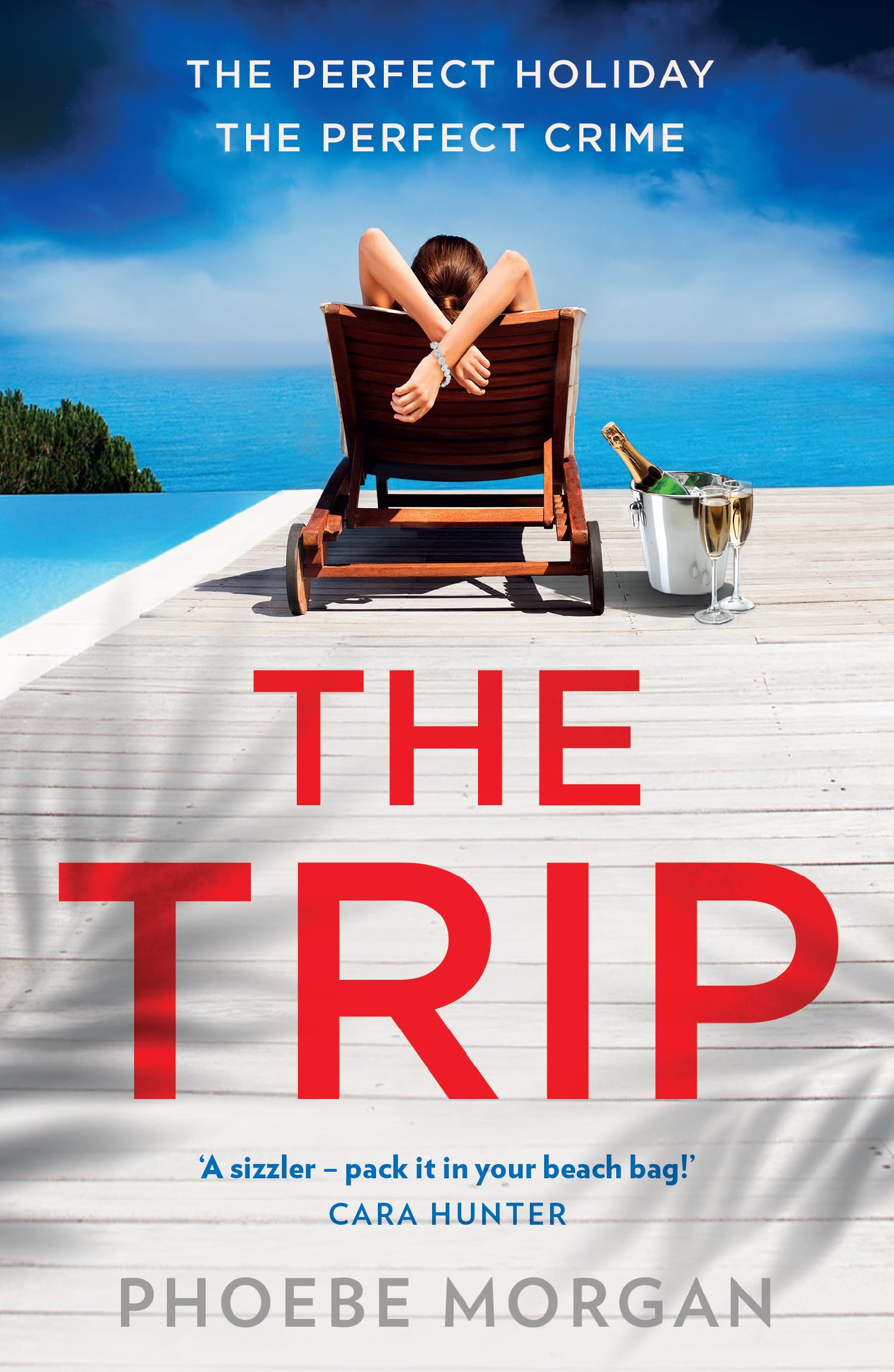 The Trip: A gripping beach read psychological suspense crime thriller from the author of The Babysitter and The Wild – perfect for fans of Lucy Foley and Harriet Tyce in 2026