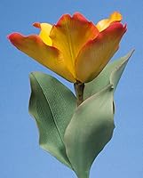 Vista 6 de Flores de primavera en azúcar (volumen II) con Scott Clark Woolley (formato DVD NTSC)