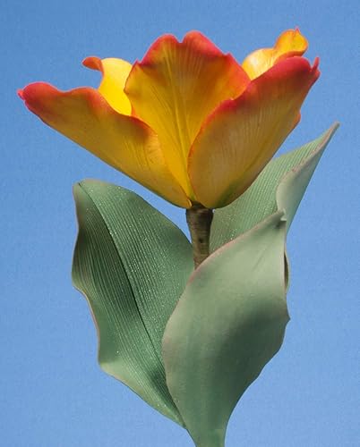 Miniatura 6 de Flores de primavera en azúcar (volumen II) con Scott Clark Woolley (formato DVD NTSC)