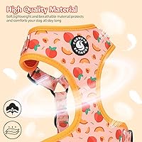 Vista 3 de Dog Harness and Leash Set, Adjustable Dog Harness, Dog Leash, No Pull No Choke Puppy Harnesses for Walking Training for Small Medium Pet Palta