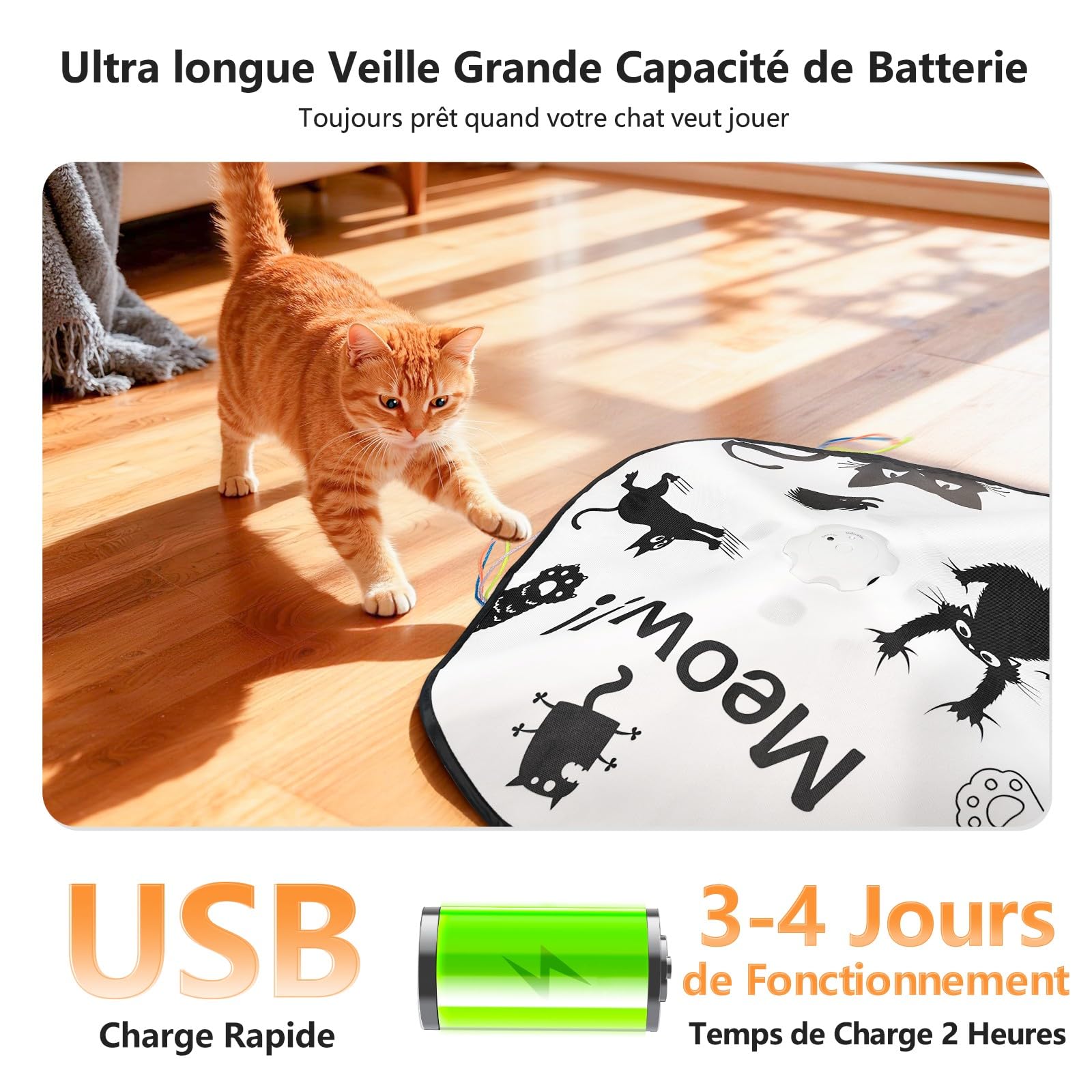 GoldenSun Jouet pour Chat Rechargeable Interactif 4 en 1 Cache-Cache Mouvement Whack a Mole