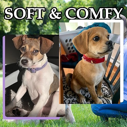 Miniatura 9 de Bubblepup Collar de terciopelo para perro, collar suave para perros pequeños, medianos y grandes