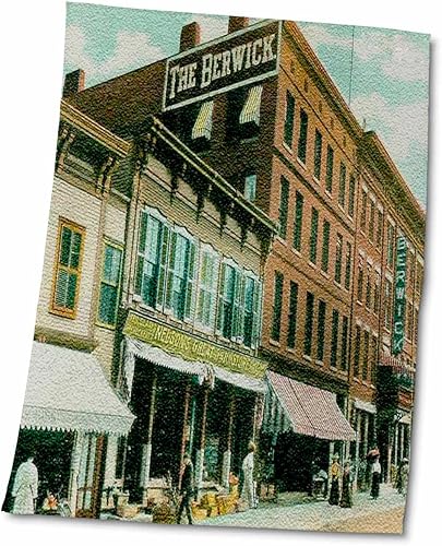 3dRose Sandy Mertens Vermont - Berwick House, Rutland, VT (Vintage 1907) - Towels (twl-130793-2)