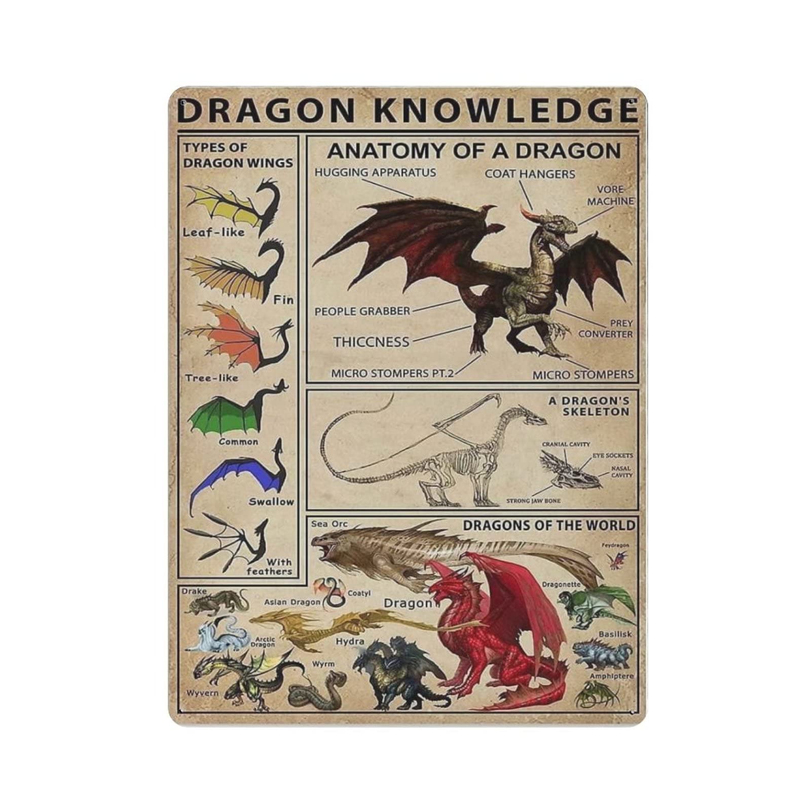 AOOEDM Dragon Knowledge Vintage Tin Sign Metal Tin Signs for Man Cave Funny Art Wall Plaque Kitchen Bar Pub Coffee Shop Wall Decor
