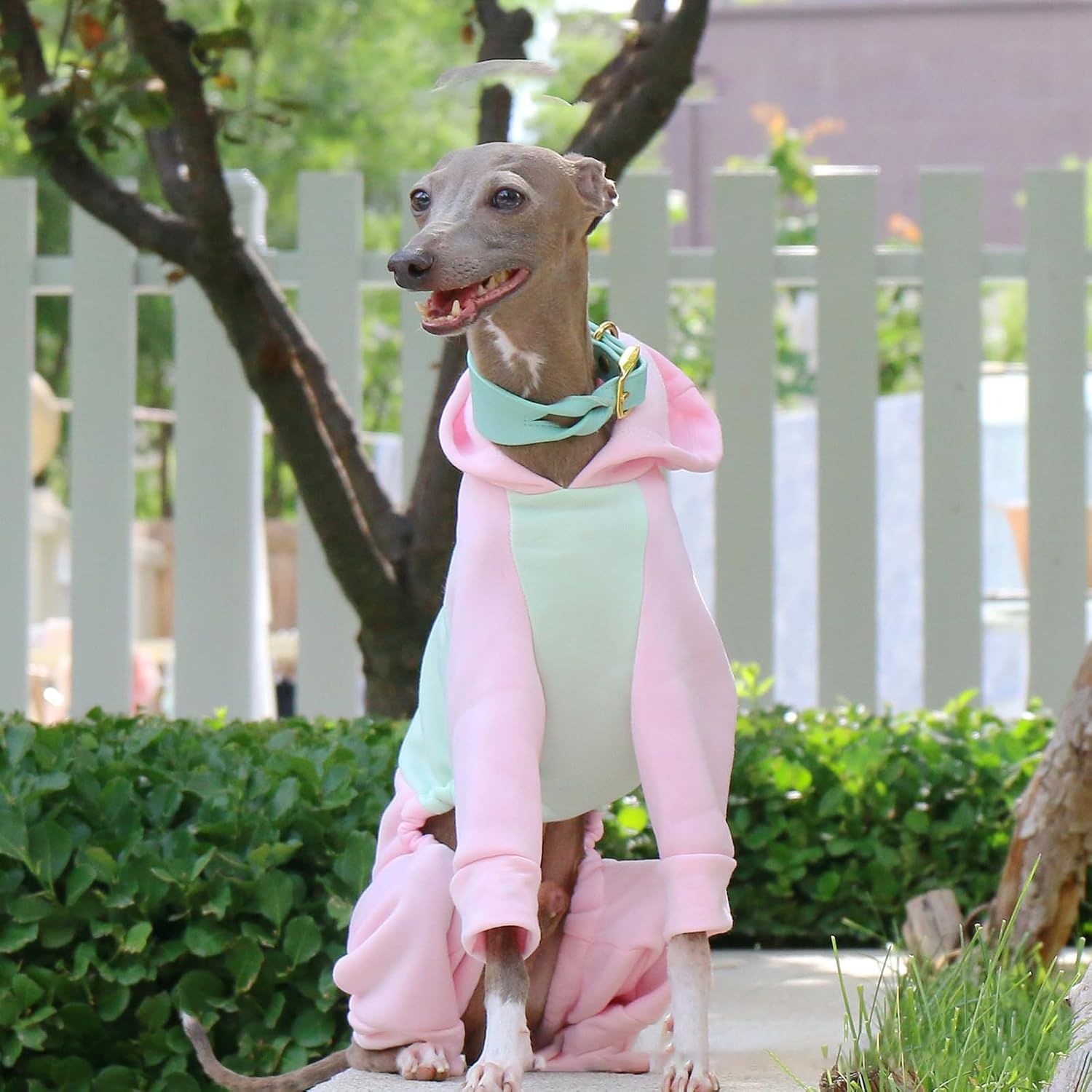 イタリアのグレーハウンド＆ウィッペットの犬のフーディ Onesie 中型大型犬のための快適な柔らかい暖かい軽量屋外のタートネックフル