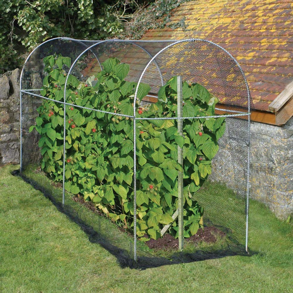 AgriframesLong Domed Roof Fruit Cage - 10' L x 3' W x 5' H