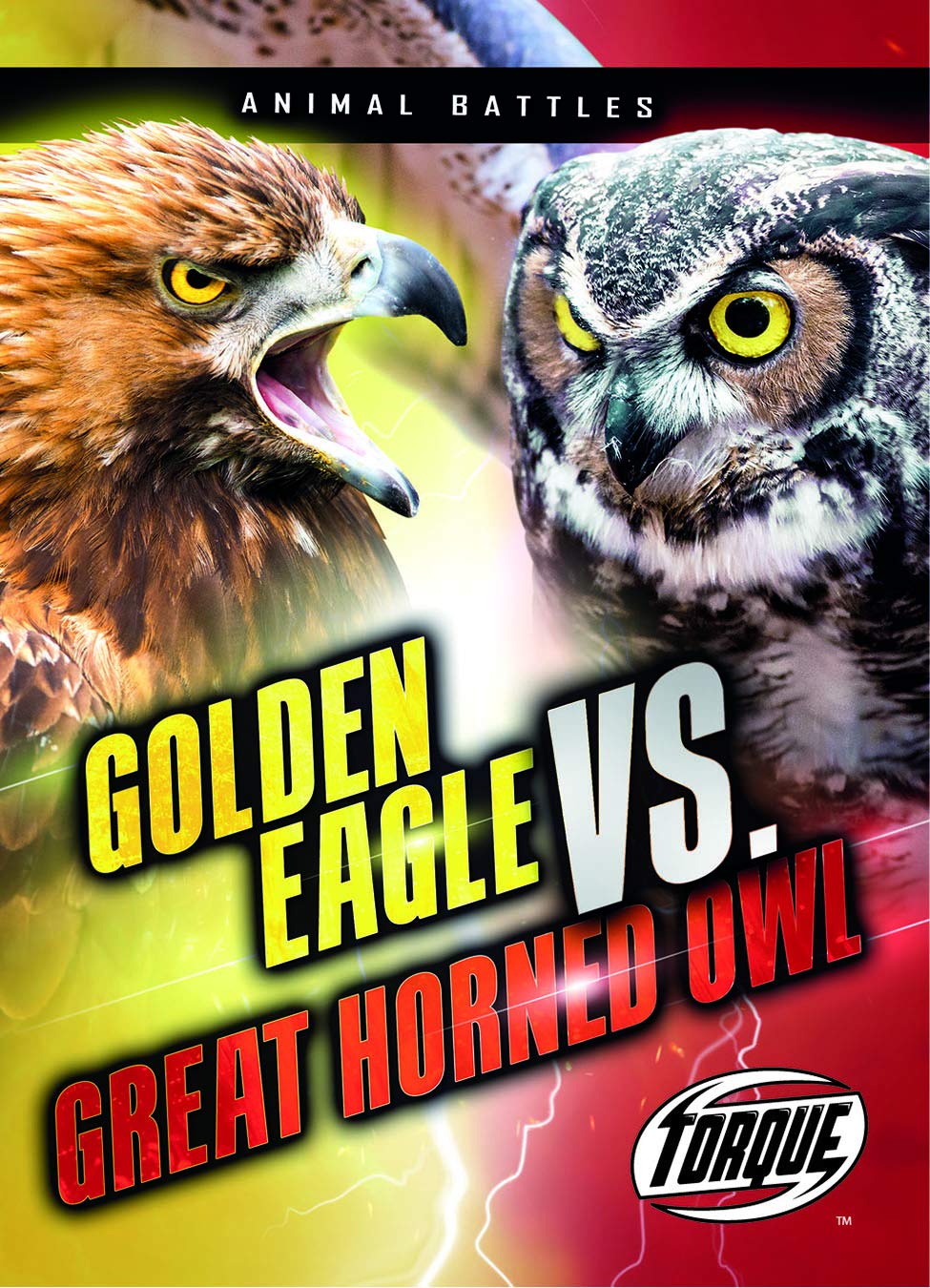 Golden Eagle Vs. Great Horned Owl
