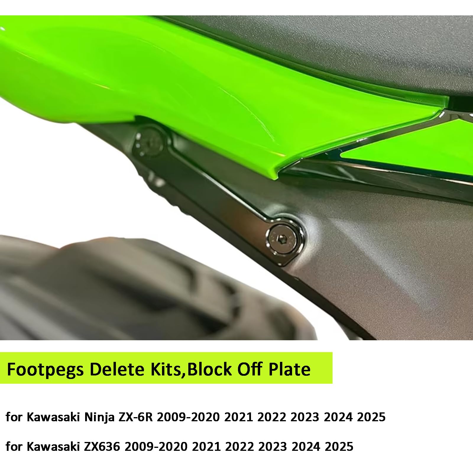 GZDLMoto Rear Footpeg Block Off Plates, Passenger Foot Pegs