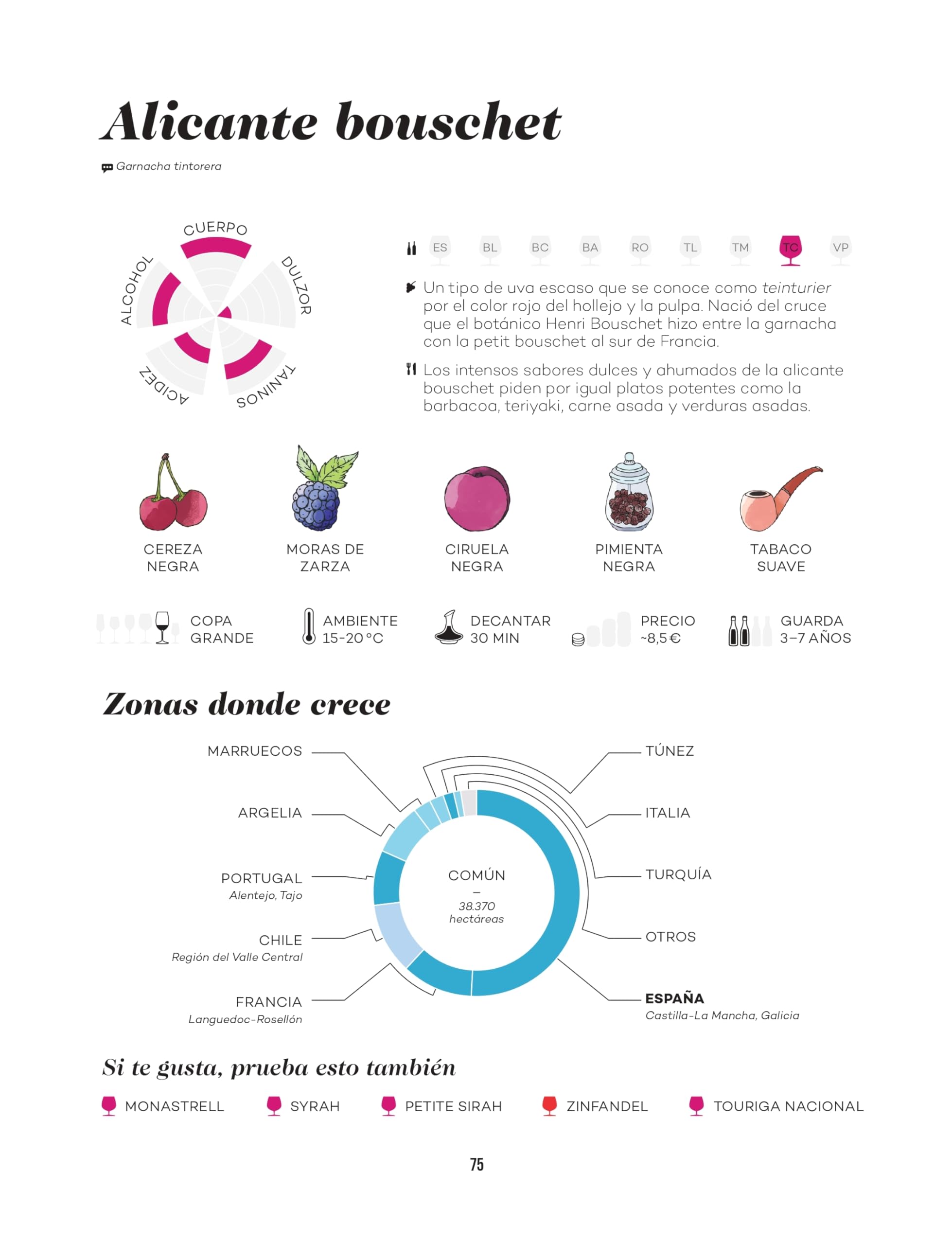 Wine Folly: Edición Magnum: La guía maestra del vino (ESP): 4 (Los ilustrados), Spanish