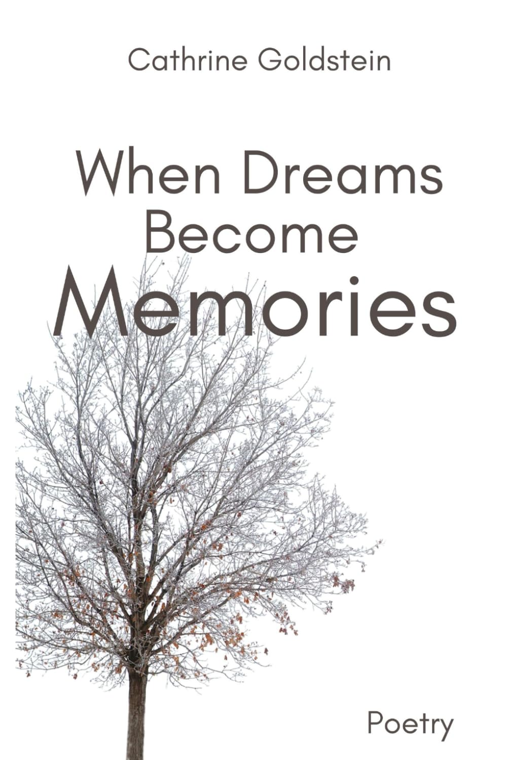 When Dreams Become Memories: A Chapbook of Poetry