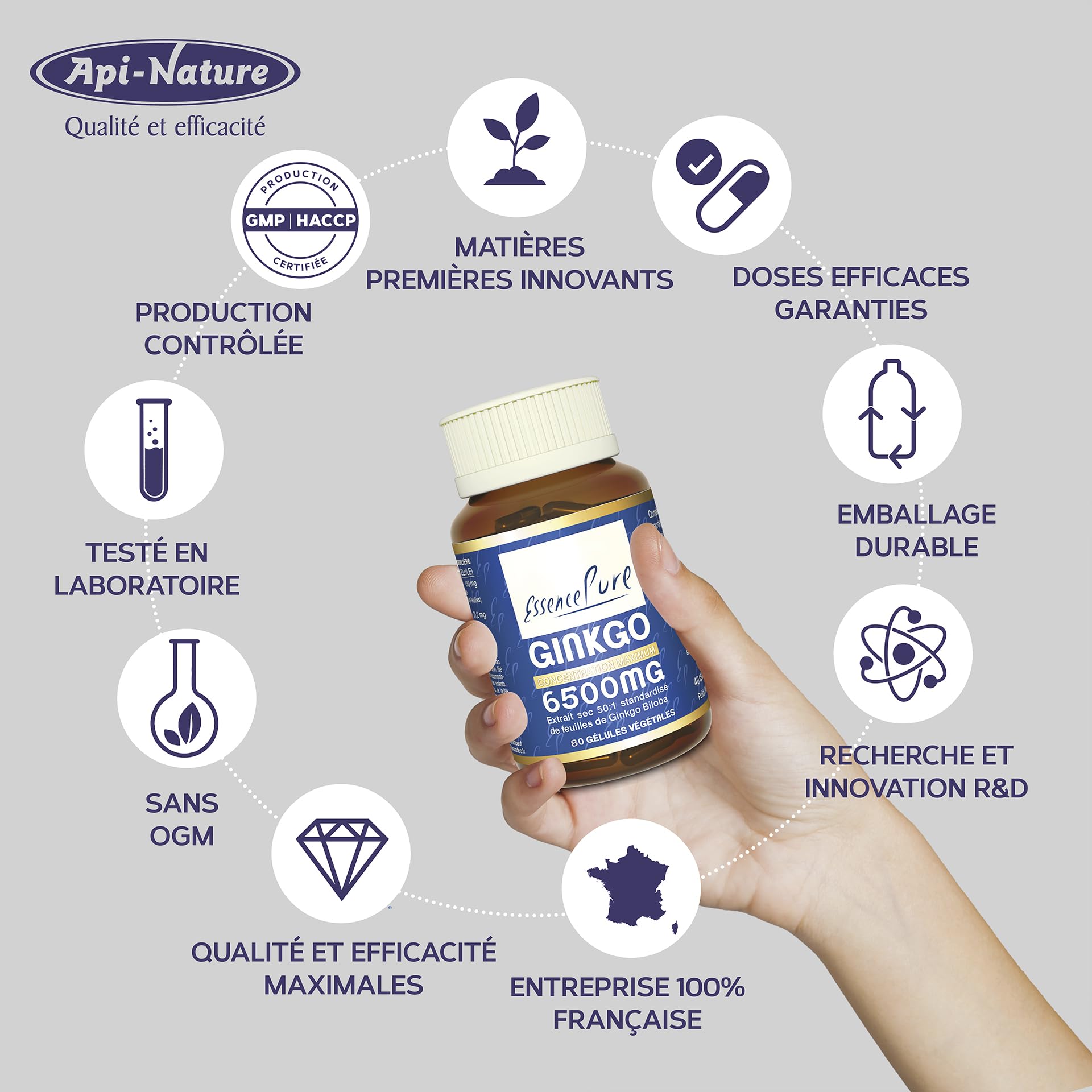 Ginkgo Biloba 6500 mg Essence Pure | Complément Alimentaire, 80 Gélules Végétales, 24% Ginkgoflavoglycosides, 6% Lactones | Soutient la Mémoire et la Circulation, Api-Nature