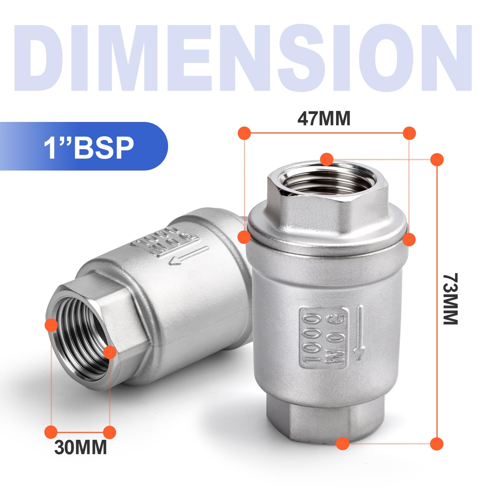 Bwintech 1 clapet anti - retour, 1 "BSP femelle acier inoxydable 304 vertical en ligne clapet à ressort, anti - retour