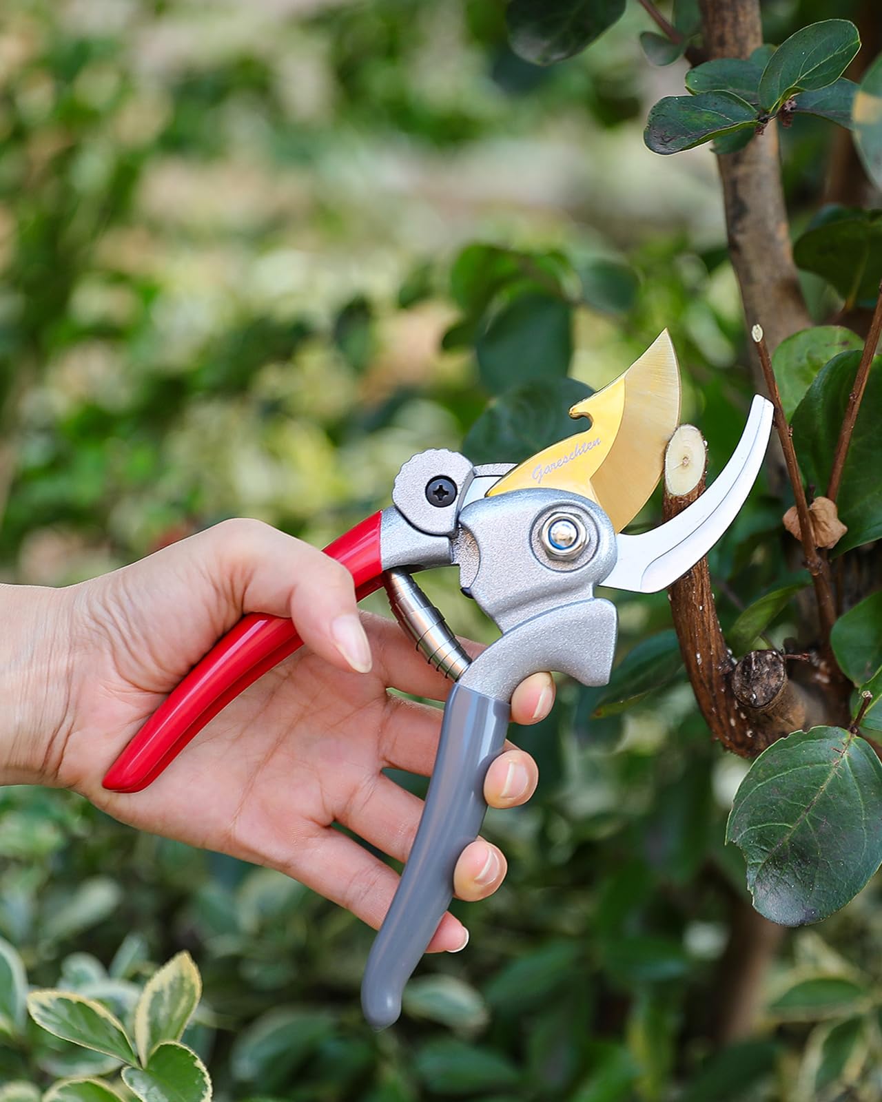 Molla Di Ricambio Per Cesoie Da Giardino In Acciaio Inox - 6/7/8 Cm, Universale Per Potatura E Bonsai - 3