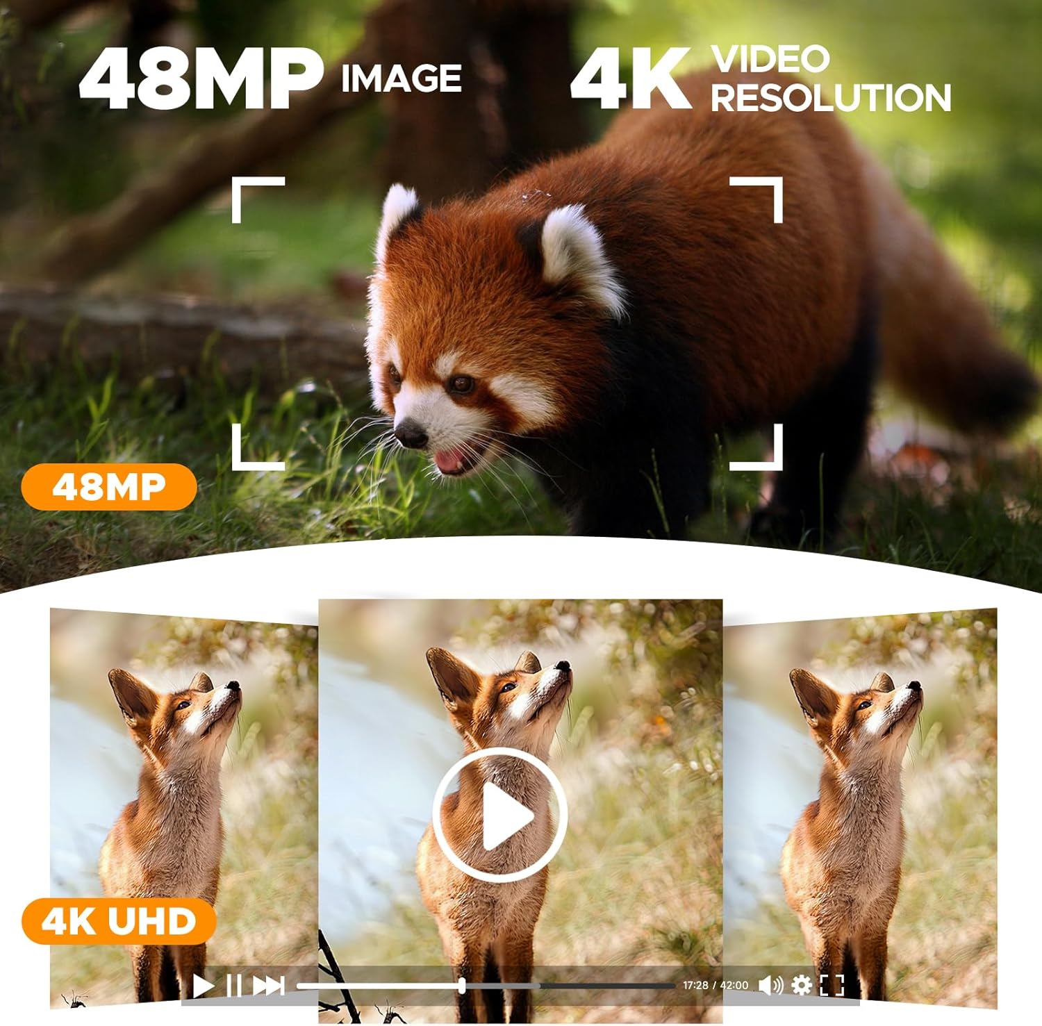 Examples of 48MP images and 4K video resolution captured by the camera.